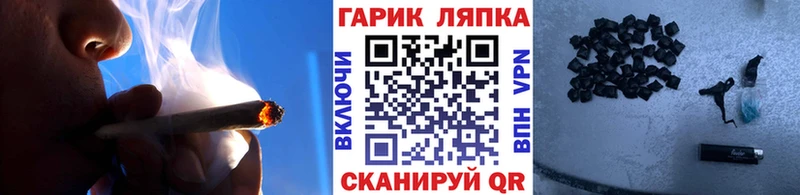 Купить где  Ликино-Дулёво  ГАШ Изолятор 